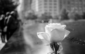 rose in front of the Twin Towers memorial in NYC